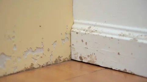 alternatywa dla listwy przypodłogowej