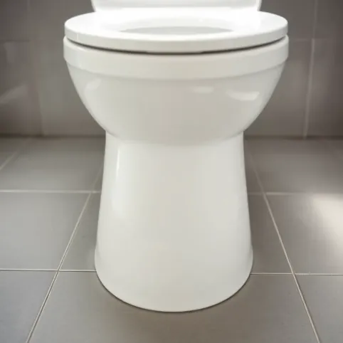 Montaż muszli klozetowej do podłogi cena