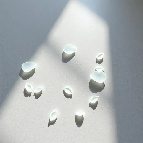 Posadzka z płatkami